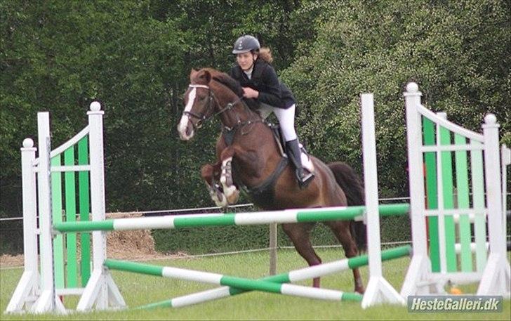 DSP Hope - Killerup, LB**, 2012 billede 7