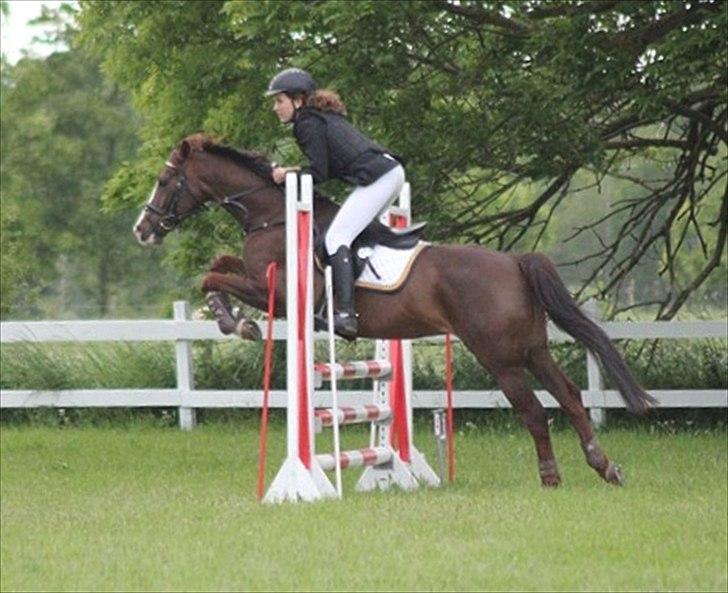 DSP Hope - Killerup, LB**, 2012 billede 14