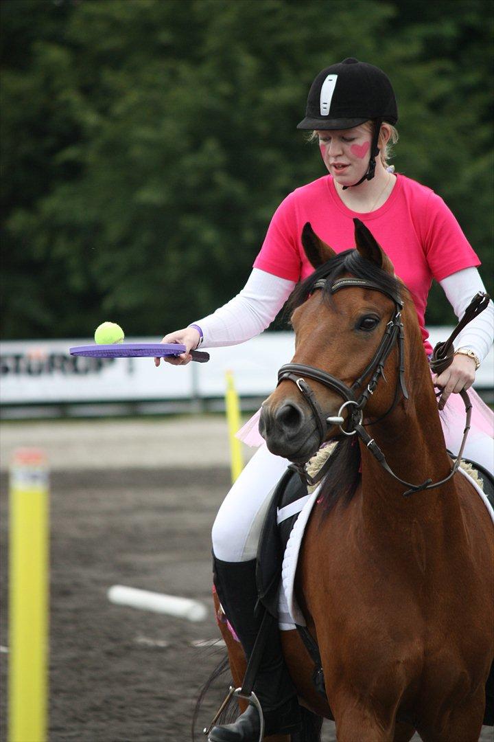 DSP Hovgaarden's Zeba billede 3