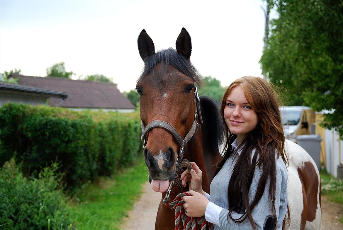 Pinto Munkeborgs Cloudy B-pony - verdens bedste
<333333 billede 3