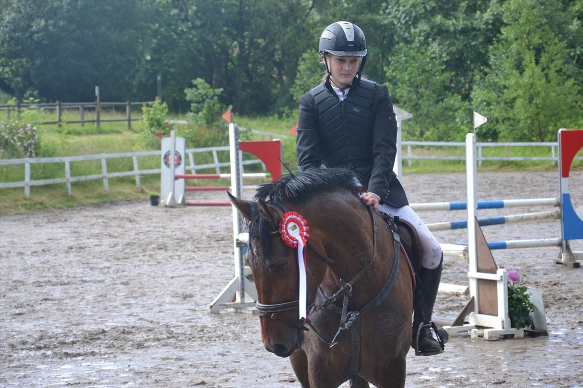 New Forest Enggårdens Conrad - en 1plads billede 12