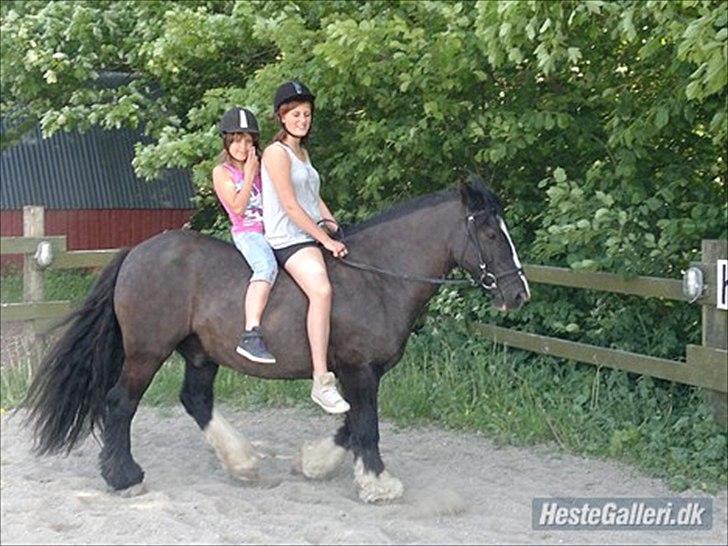 Tinker Dr. Wolle billede 16