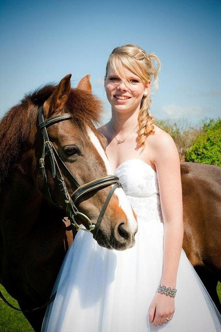 Anden særlig race Duchess billede 16