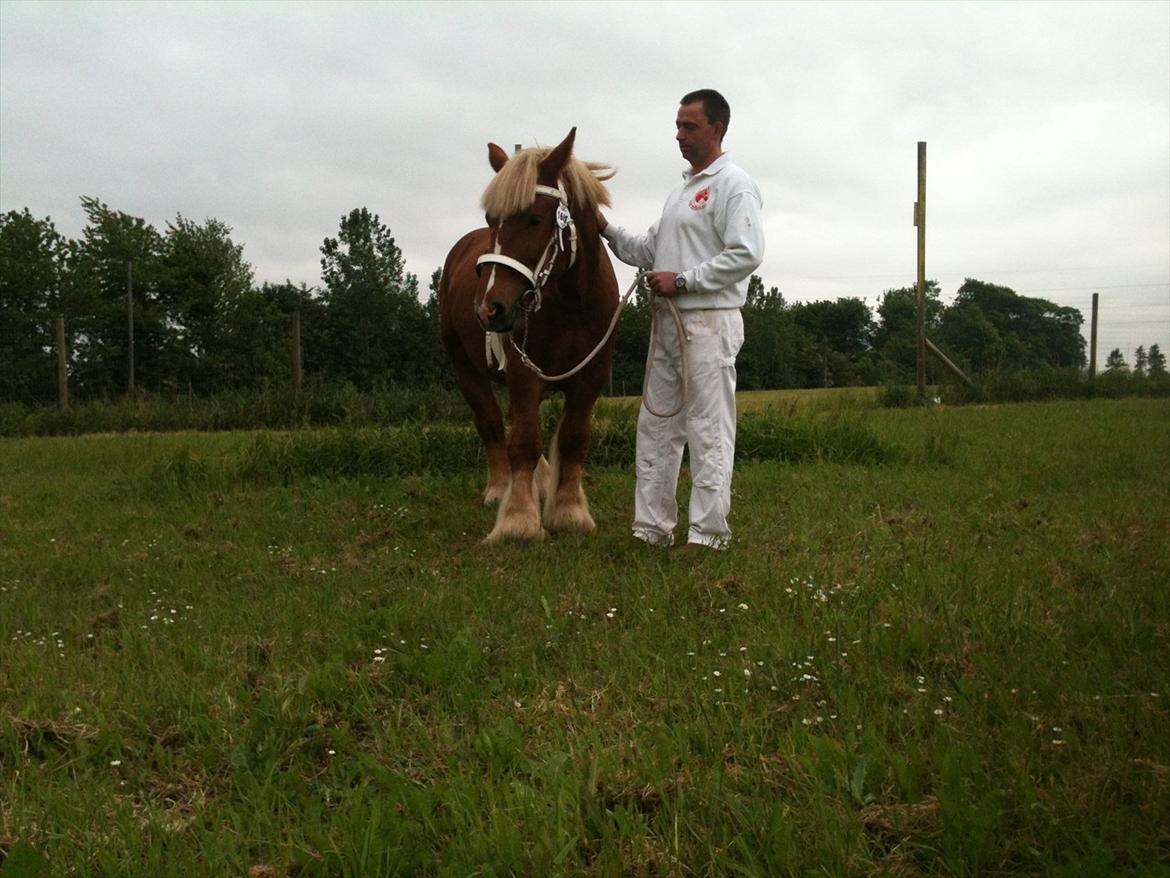 Jyde Thor - Roskilde Dyrskue, 2012 billede 19