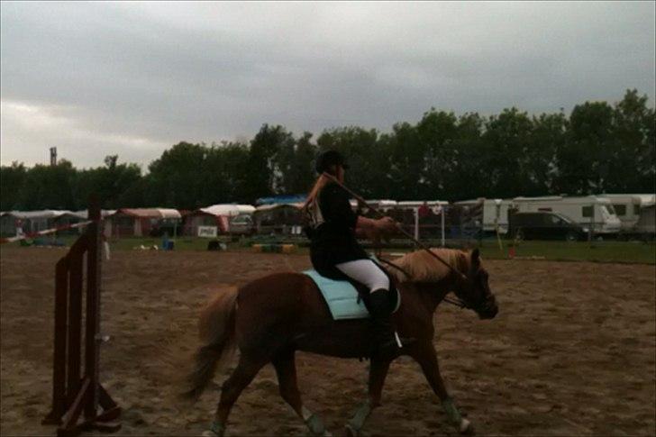 Anden særlig race Tasano - Roskilde Dyrskue 2012, 4H, Ringridning billede 27