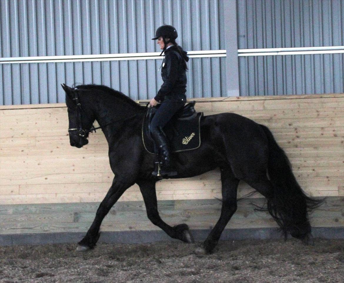 Frieser Oliver, STER - Her har jeg redet Oliver omkring 10 gange billede 18