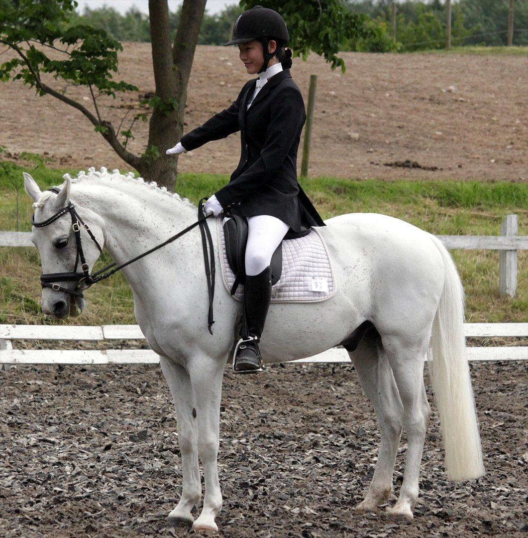 Anden særlig race Safir - GBR, første C-stævne, LA1. Foto: Maria Breil billede 3