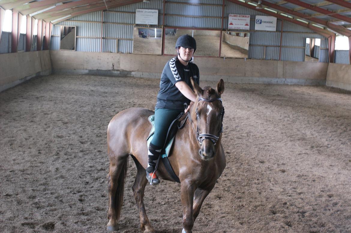 Oldenborg Sonny  <3 Savner min piige! billede 12