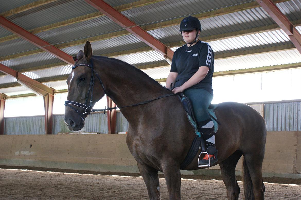 Oldenborg Sonny  <3 Savner min piige! billede 14