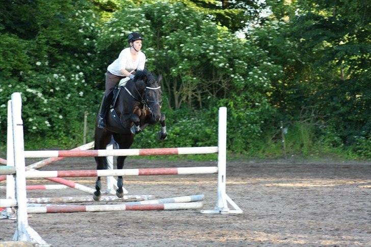 Anden særlig race IVER - Undervisning ved Morten Grøftehauge den 21. juni 2012 (sidste før ferien) 105 cm :) Fotograf: Maja Valentin Godt billede 5