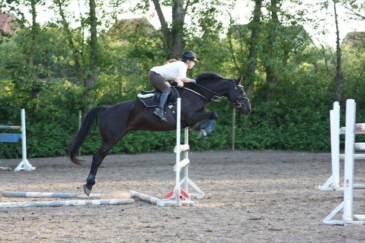 Anden særlig race IVER - Undervisning ved Morten Grøftehauge den 21. juni 2012 (sidste før ferien) 105 cm :) Fotograf: Maja Valentin Godt billede 6