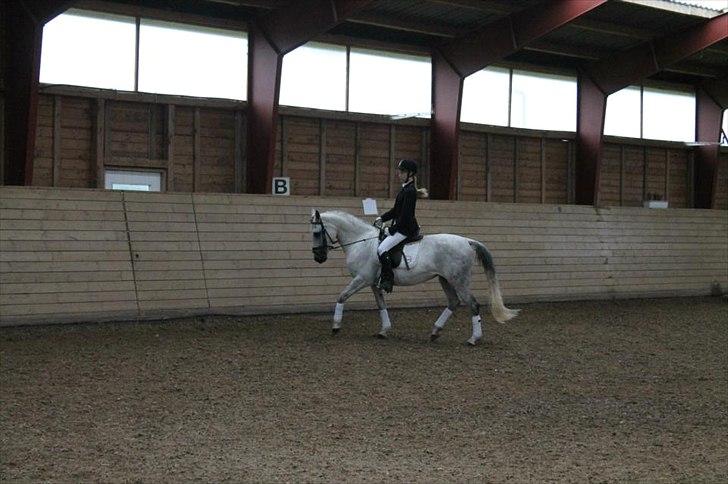 Tysk Sportspony Monique - Stævne d. 24-6-12 billede 18