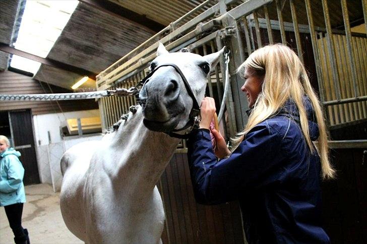 Tysk Sportspony Monique - Jeg elsker dig! <3 billede 20