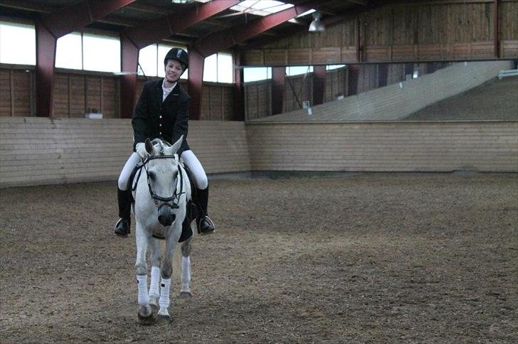 Tysk Sportspony Monique - Færdig med programmet! :-D
D. 24-6-12 billede 19