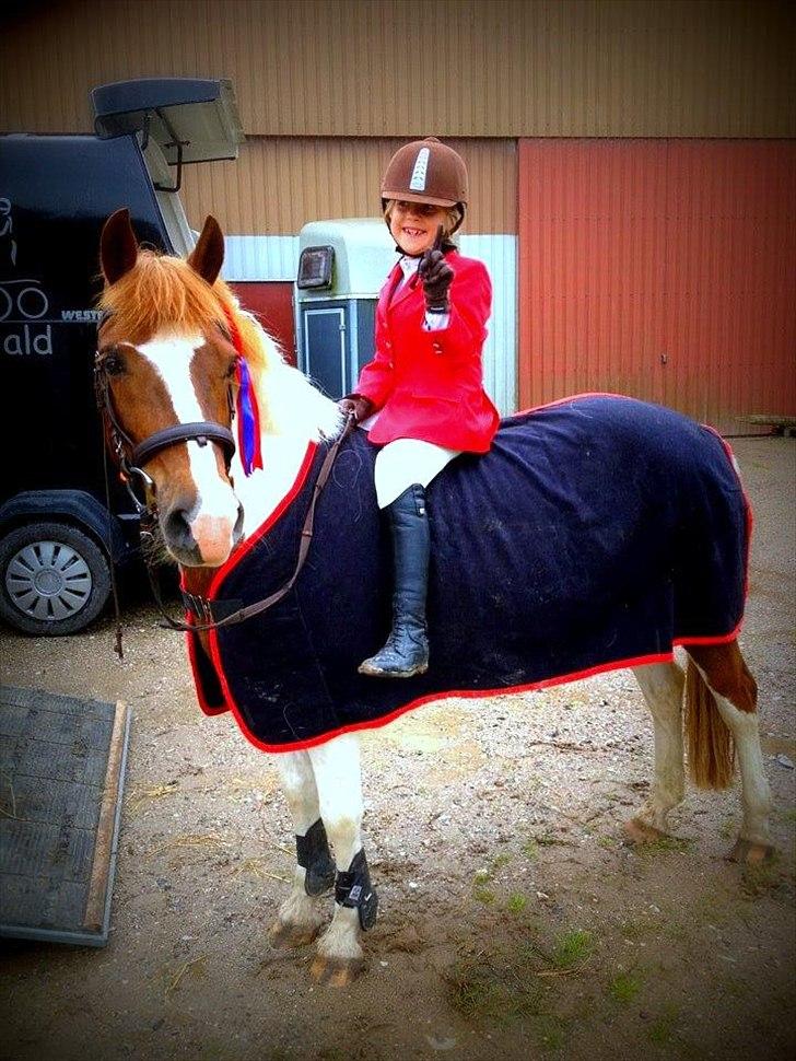 Anden særlig race Sillepigen - Cecilie og Sillepigen til stævne d. 24-06-2012 billede 2