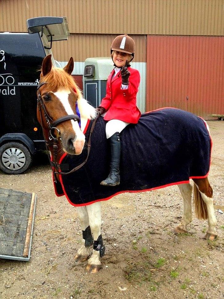 Anden særlig race Sillepigen - Cecilie og Sillepigen til stævne d. 24-06-2012 billede 6