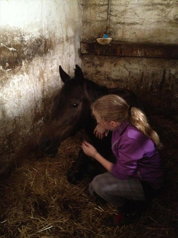 Anden særlig race Solo<3 - i boksen <3 love ya!<3 billede 1