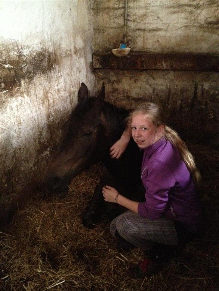 Anden særlig race Solo<3 billede 13