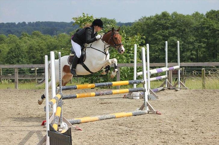 Pinto Moon Star - Klubmesterskab 2012 <3 vi sprang 80-90 cm, :) det blev til en 2. plads kun 0,19 sekunder fra at vinde  billede 1
