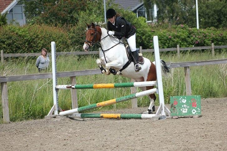 Pinto Moon Star - Klubmesterskab 2012 <3 synes bare han er så smuk på dette billede :-)  billede 19