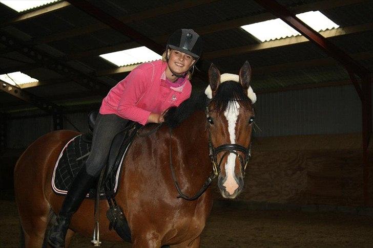 Oldenborg Narnio Roi - Elsker dig min lille baby hest!! <3<3 billede 36