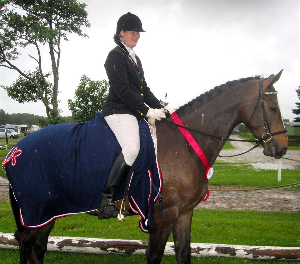 Dansk Varmblod Hanniball - vinderen af Farm Land Cuppen dressur 2012. vandt skridt tæppe, show shine, saddel sæve samt lækre handsker billede 14