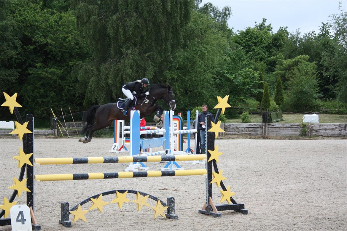 Holstener Prior's Hubert *ENGEL* <3 R.I.P 04-10-2012 - Nr. 2 - LA* <3 du fantastisk <3 billede 1