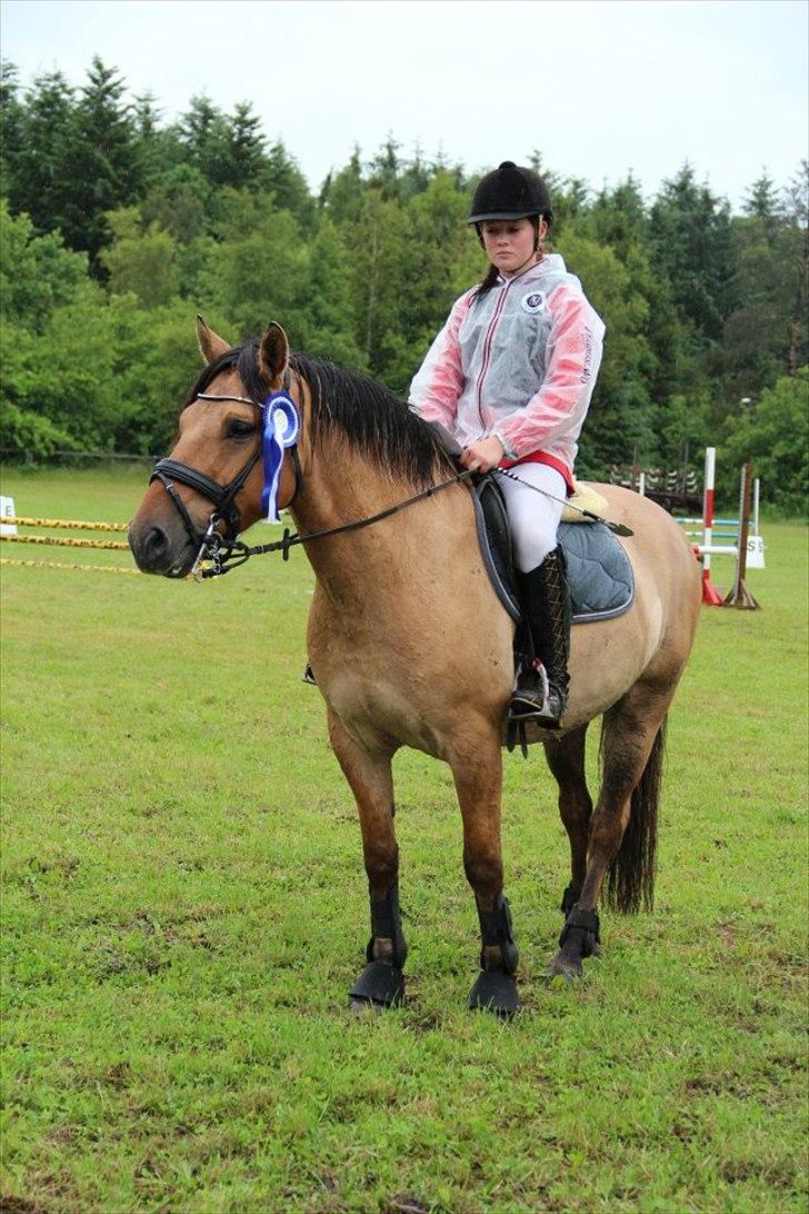 Anden særlig race Monty billede 19