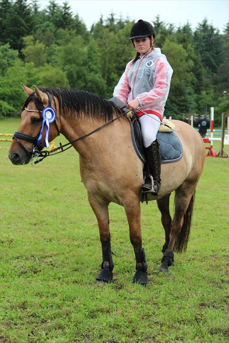 Anden særlig race Monty billede 20