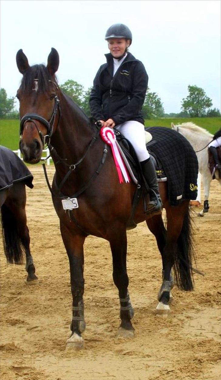 Dansk Varmblod Olympia - 1. plads i Louiselund :)  billede 4