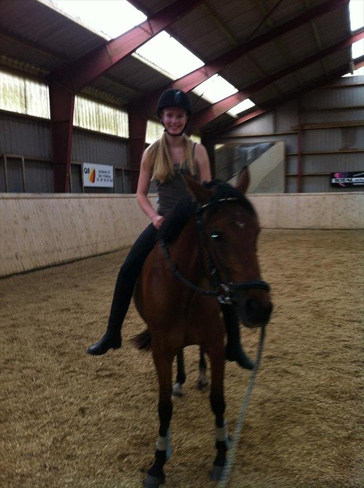 DSP Ng Golden Champion. - Champion første gang med rytter, dog stod de bare stille, men Champion tog det som en champion! billede 19