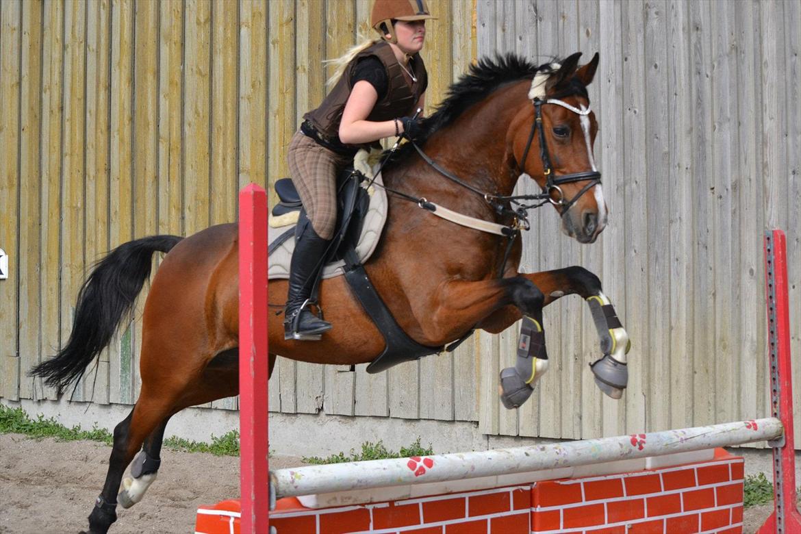 Dansk Varmblod Fantasy  - Juni 2012! Spring undervisning over muren. we jump to the stars, i love you my prinscess <3 Foto: Maya billede 19