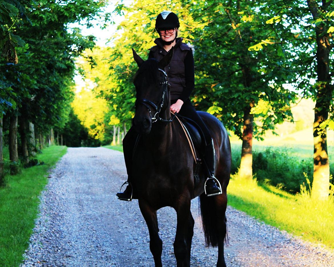 Dansk Varmblod Chanel - Velkommen til Chanels profil:)<3
En af de sidste dage med hende:(<3 foto: Louise billede 1