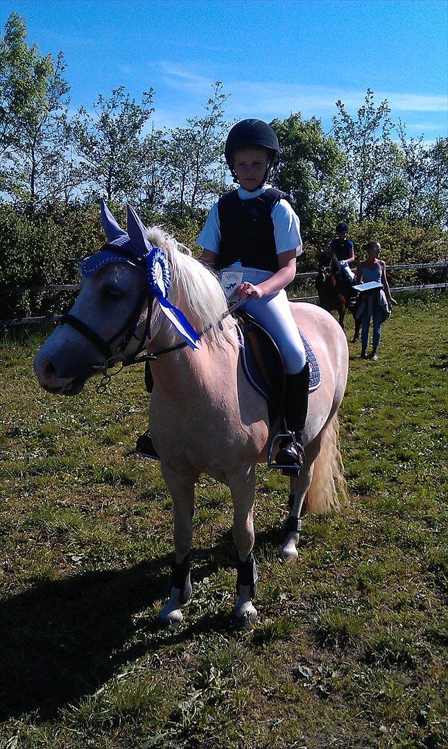 Palomino Lady { solgt:'( } billede 17