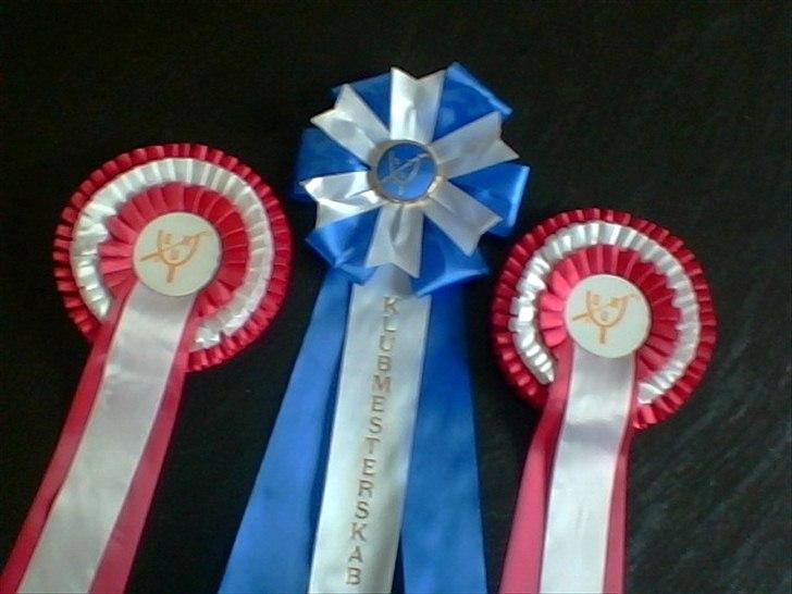 Anden særlig race Clemens Milky Way billede 20