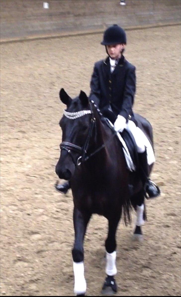 Anden særlig race Iver - Velkommen til Iver´s profil :)
Læg gerne en kommentar og bedømmelse billede 1