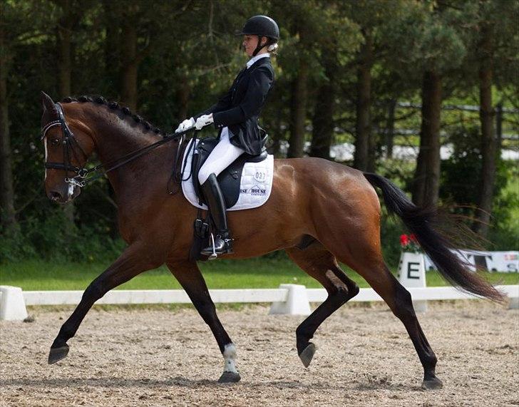 Dansk Varmblod May Candeloro - Hvalsø maj 2012. Sejr i MB0 med 68%. Billedet er taget af Torben Merrald (copyright) billede 1