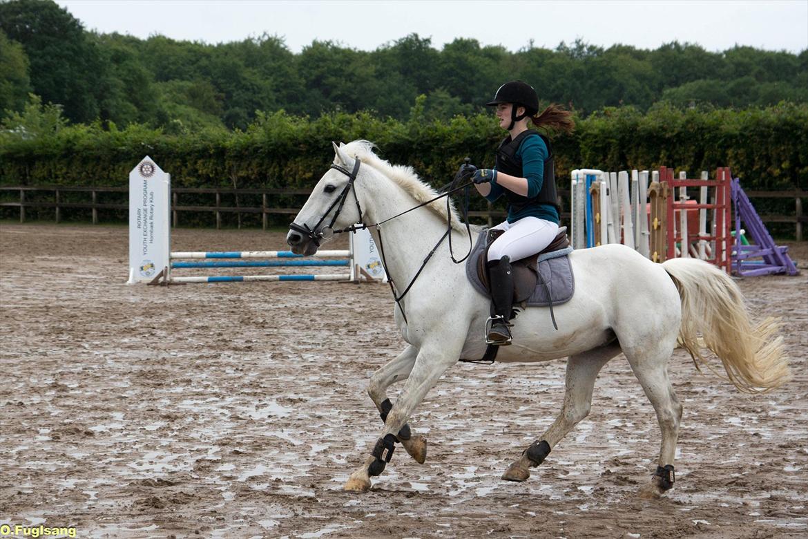 Tysk Sportspony Dusty Diamond - Fuld fart mod springet - sløjfestævne 60 cm. 
Fotograf: Ole Fuglsang billede 12