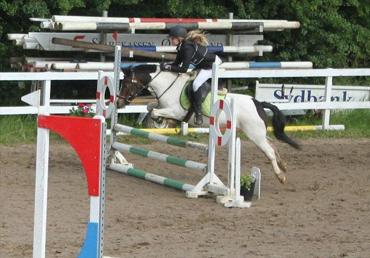 Anden særlig race Magnum<3 billede 3