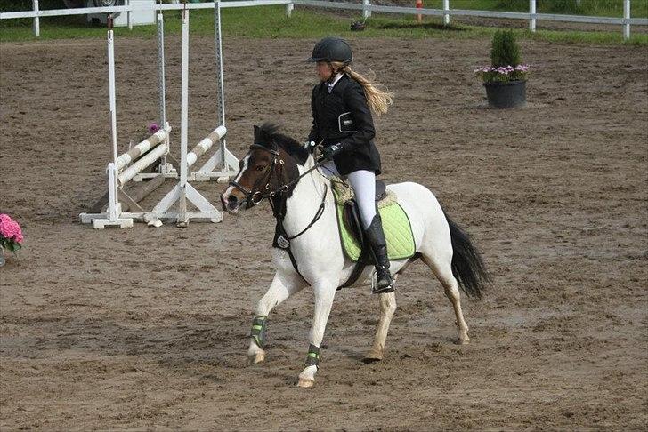 Anden særlig race Magnum<3 billede 4