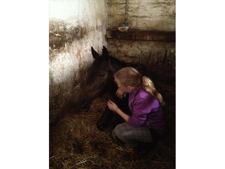 {{currentPhoto.altText}} billede {{currentPhoto.number}}