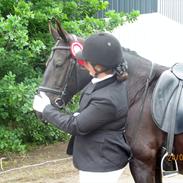 Oldenborg Freja af Højholt