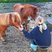 Anden særlig race Isabella!<3 *GIFT*