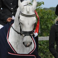 Connemara Maskenkol's Calimero *Tidl. Part*