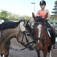 DSP Stald PR'S Paula *. Søsters .* Flomme.. xD