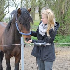 Anden særlig race Gavbogaard Lucas