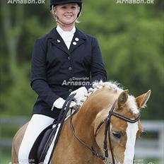 Haflinger Studgårdens Sally<3 *STJERNEN* Savnet :'(<3