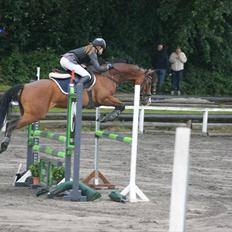 Hollandsk Sportspony Caspertoo H - B-pony<3