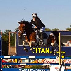 Pinto Munkeborgs Cloudy B-pony