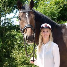 Holstener Dumbledore